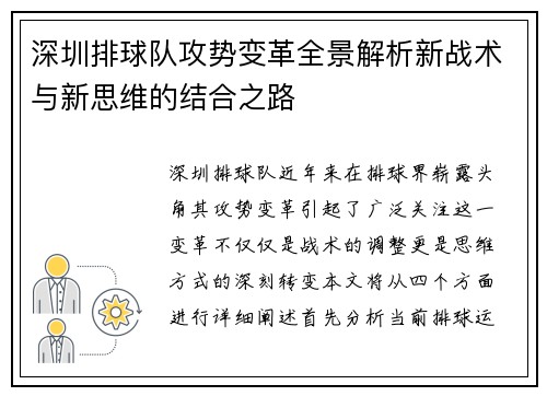 深圳排球队攻势变革全景解析新战术与新思维的结合之路